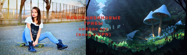 ГАЛЛЮЦИНОГЕННЫЕ ГРИБЫ Алзамай