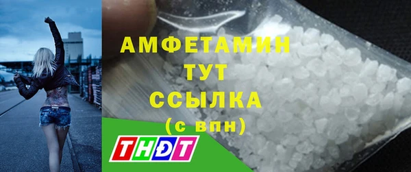 ГАЛЛЮЦИНОГЕННЫЕ ГРИБЫ Алзамай