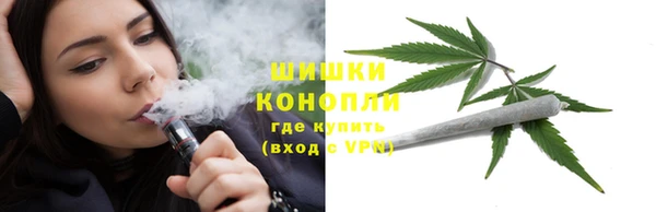 ГАЛЛЮЦИНОГЕННЫЕ ГРИБЫ Алзамай